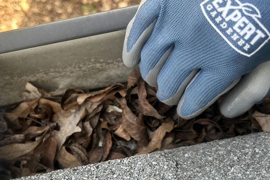 Gutter Cleaning Cottageville